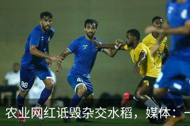 农业网红诋毁杂交水稻，媒体：一些人还是吃得太饱了！