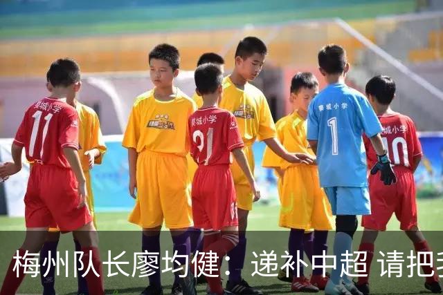 梅州队长廖均健：递补中超 请把我们当成广东队