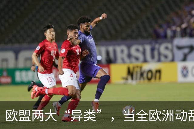 欧盟两大“异类”，当全欧洲动乱时，靠中国走上“捷径”躲过一劫