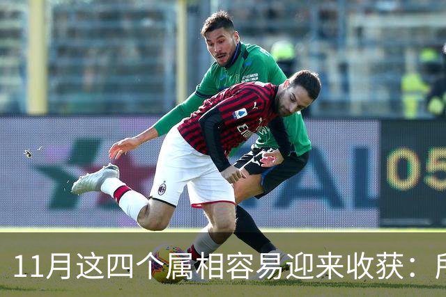 11月这四个属相容易迎来收获：所有惊喜，都是长期默默耕耘的结果